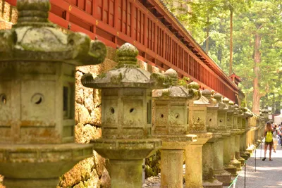 DSC_3838 (Large).JPG